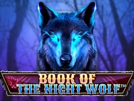 Book Of The Night Wolf